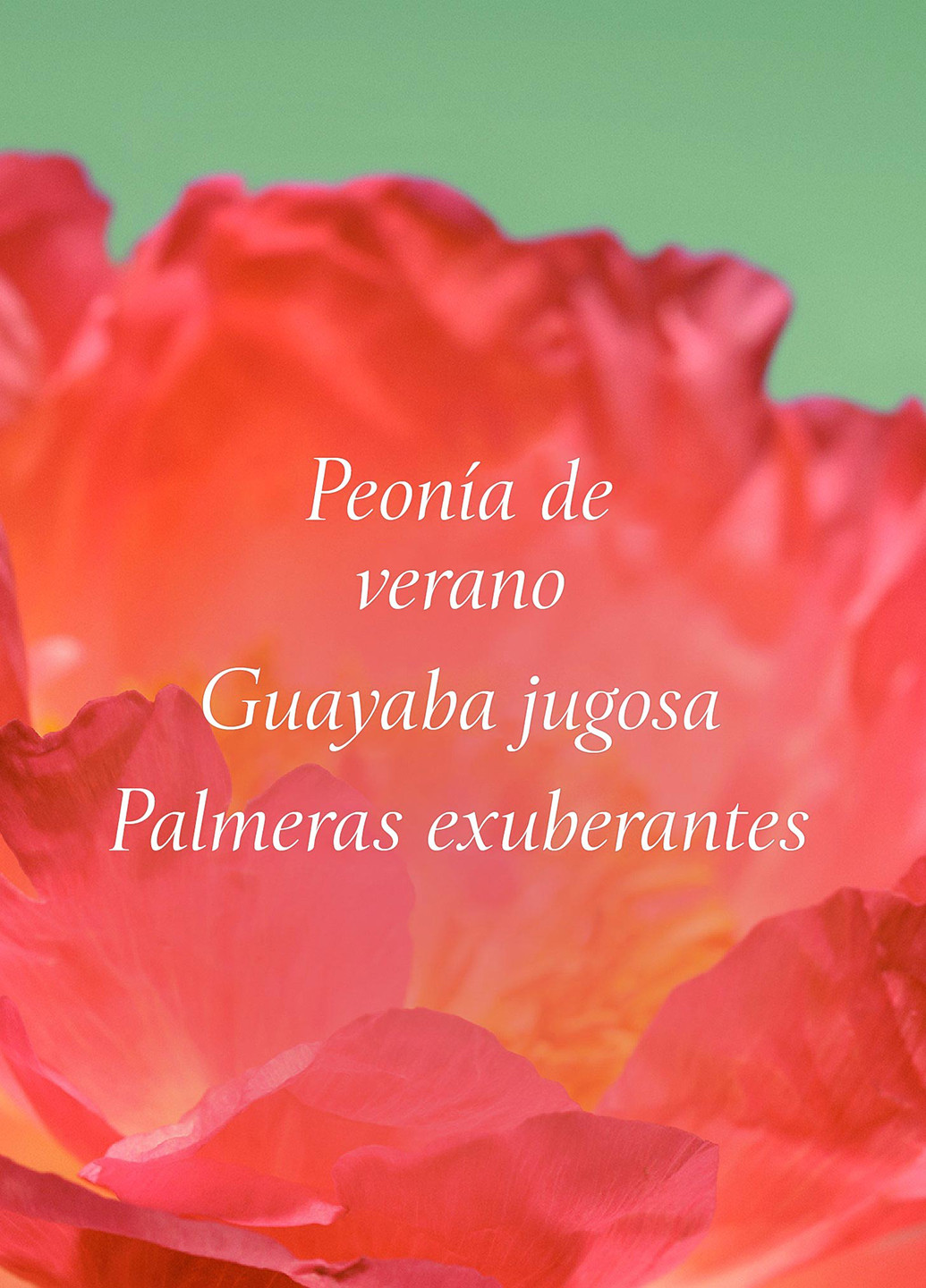 Подарочный набор (5 пр.) Victoria's Secret (369492145)