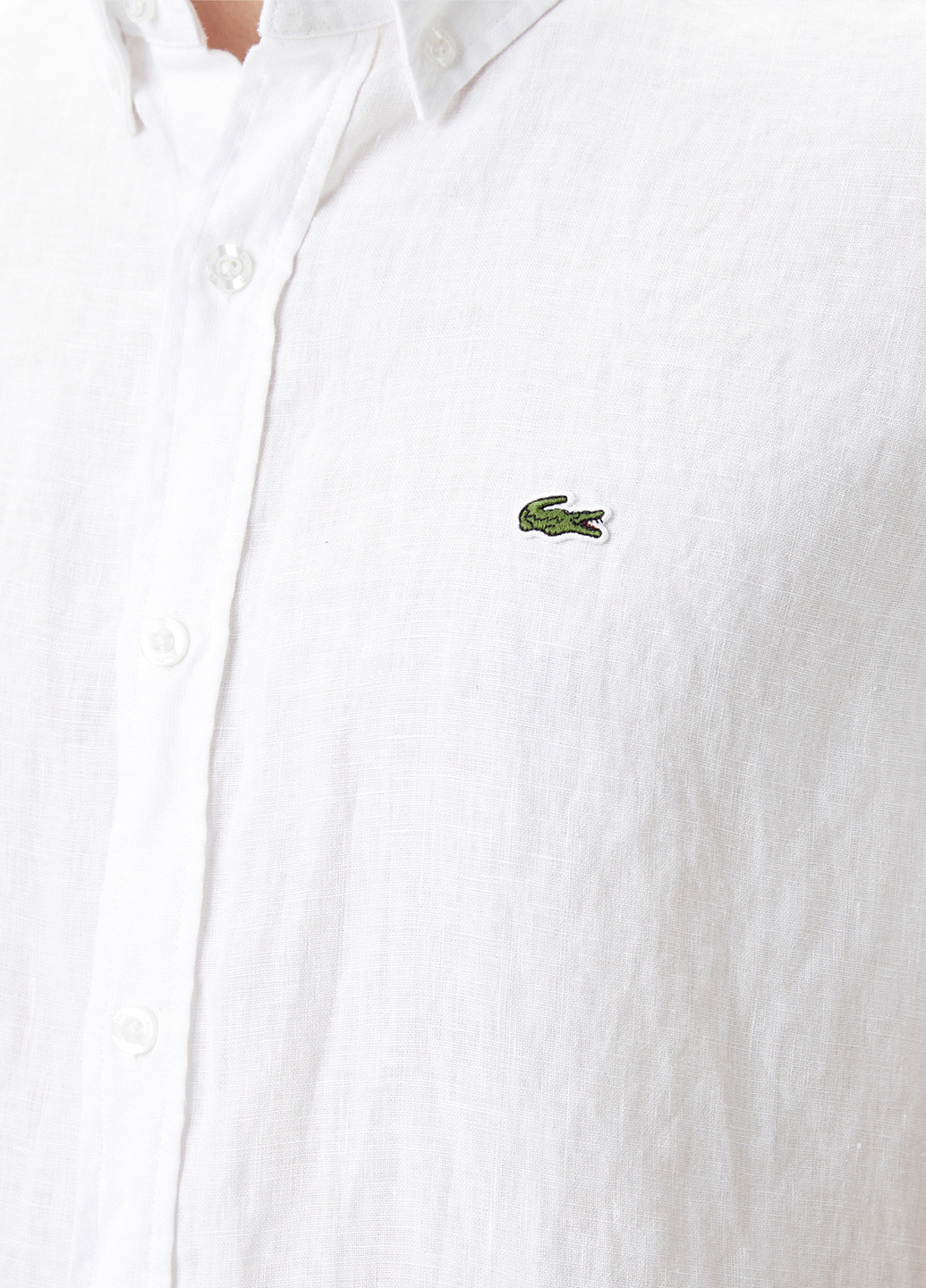 Сорочка Lacoste (298073697)