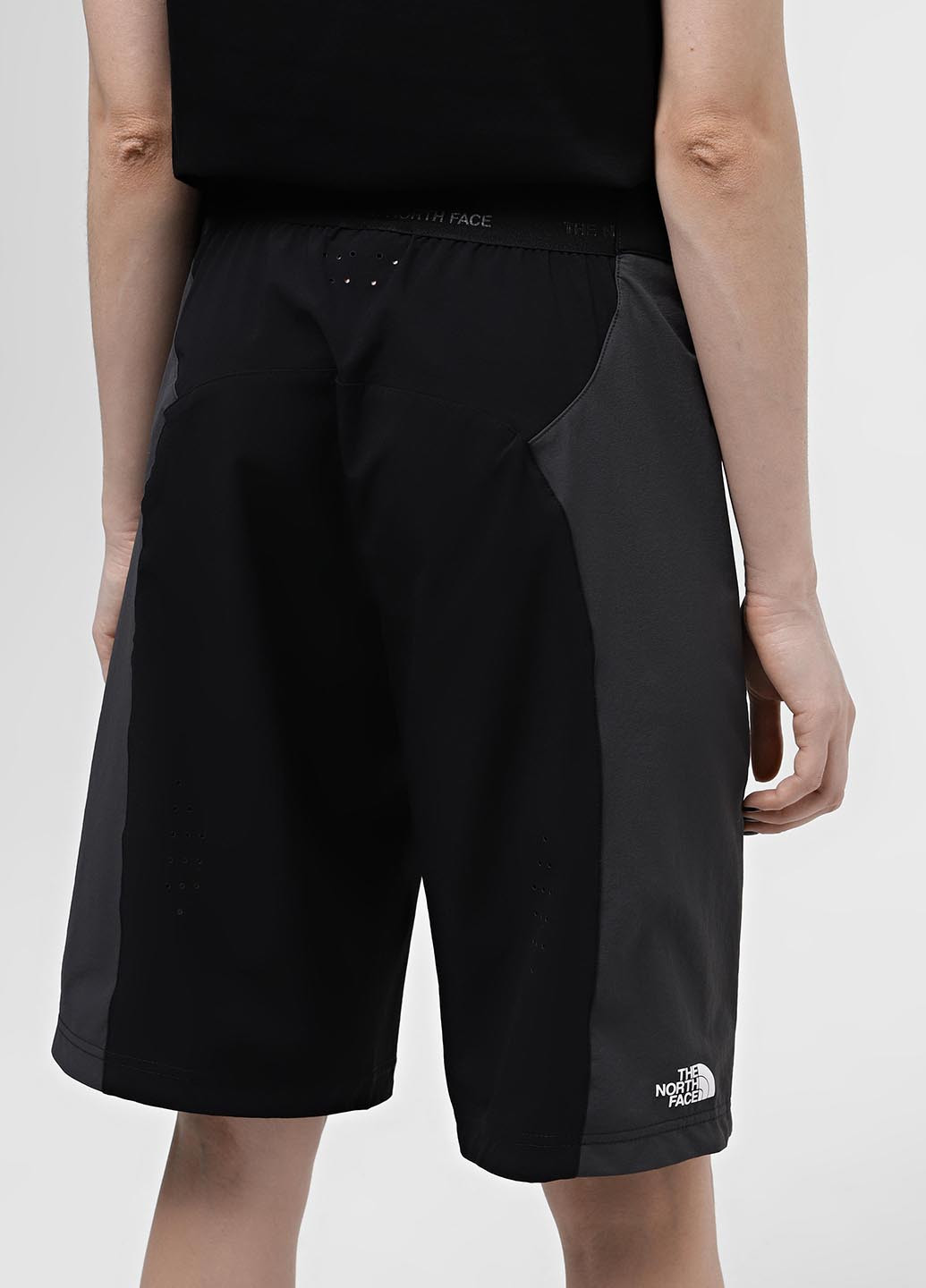Шорты The North Face (330222120)
