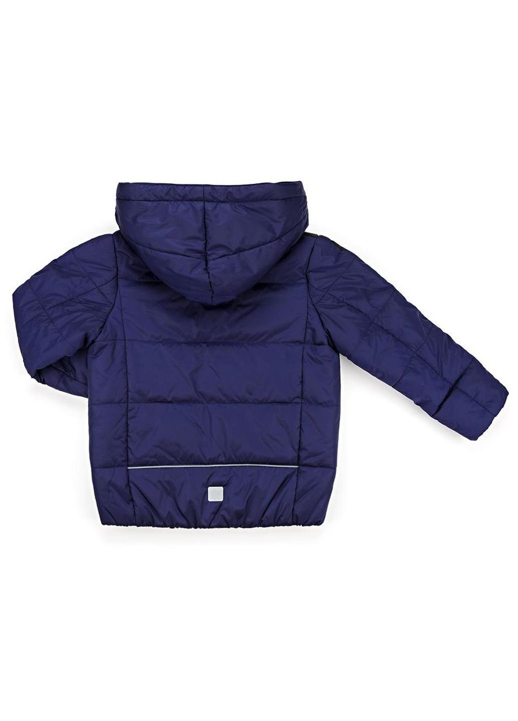 Фиолетовая демисезонная куртка с капюшоном (sicmy-g306-122b-blue) Snowimage