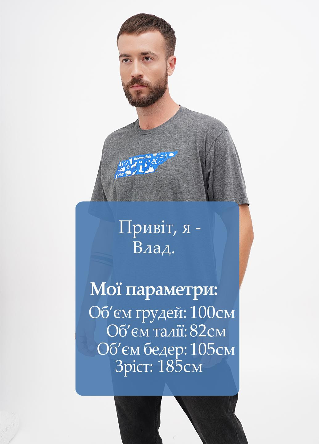 Сіра футболка My State Threads