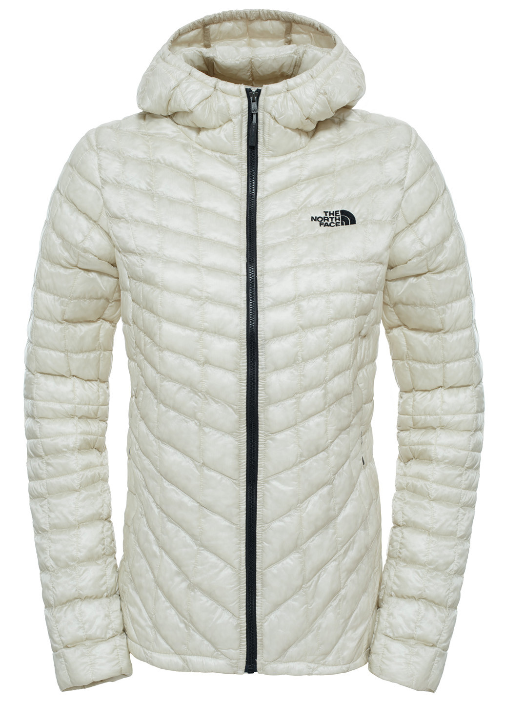 Молочная зимняя куртка The North Face