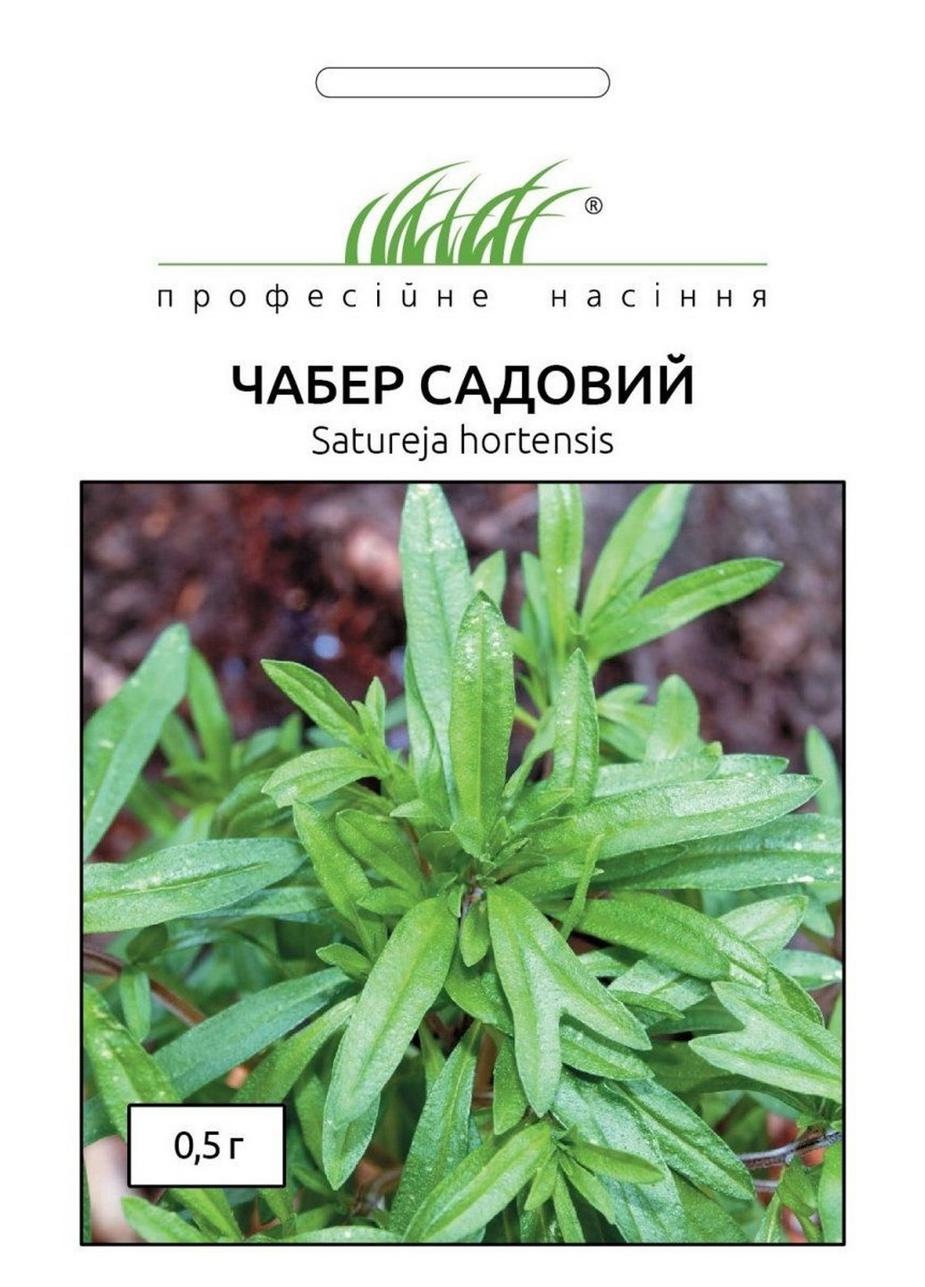 Семена Чабер садовый Саммер Савори 0,5 г Професійне насіння (215963560)