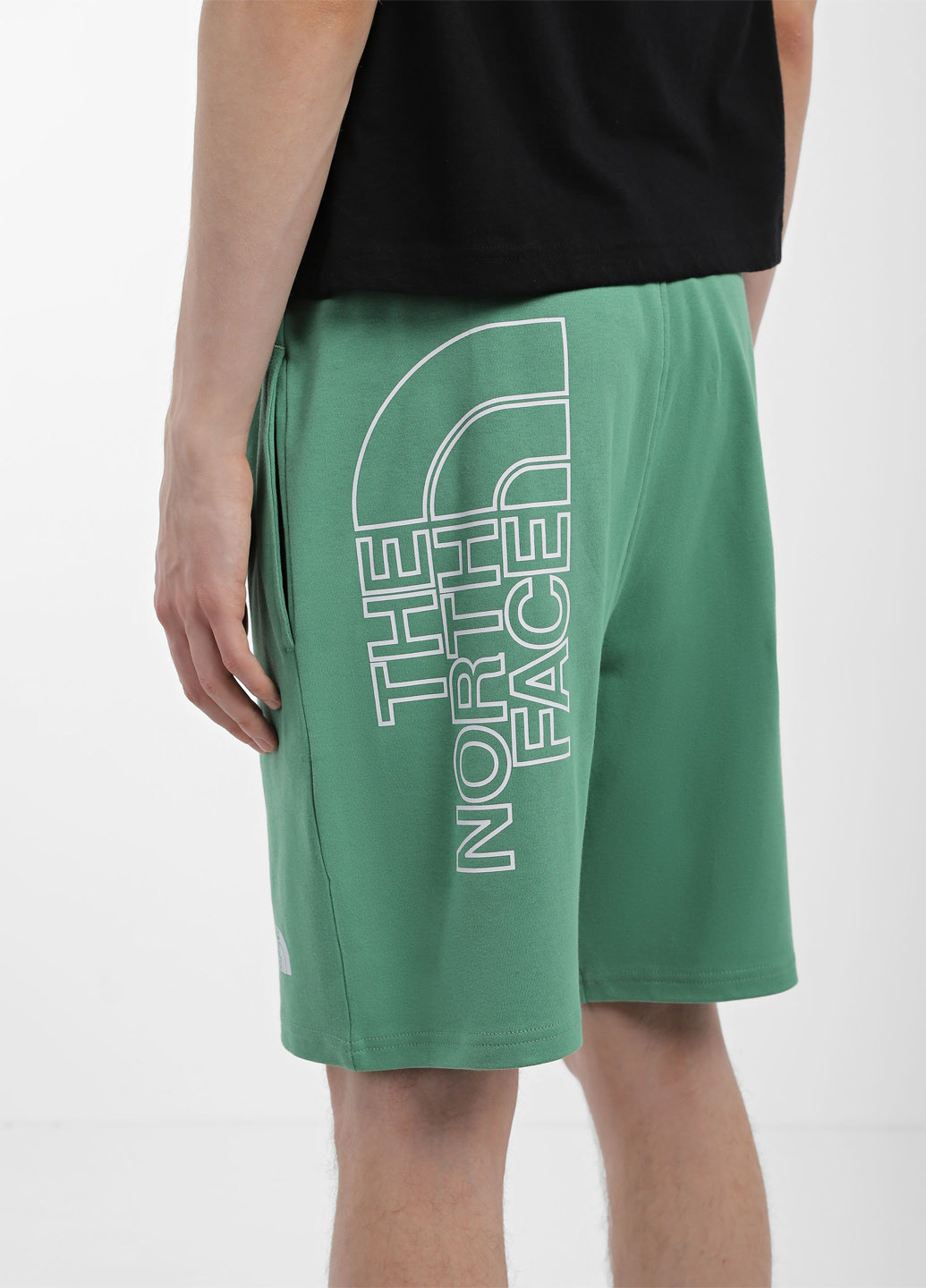 Шорти The North Face NF0A3S4FN111 (327234663)