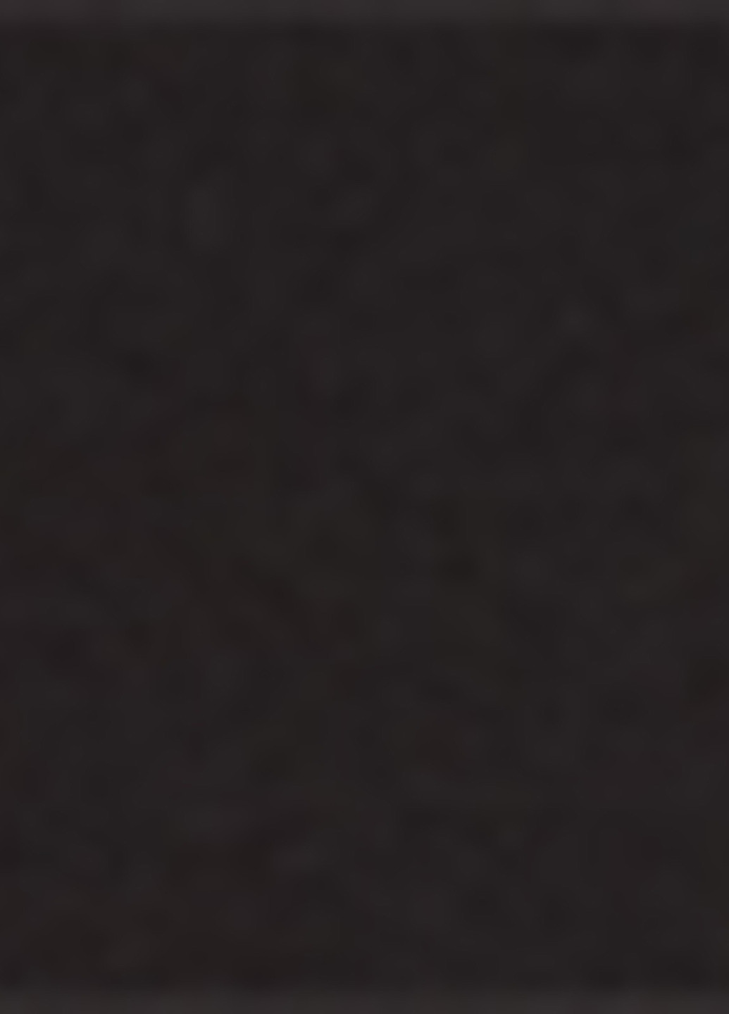 Лонгслів C&A (322945607)