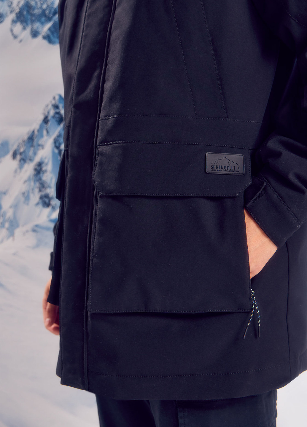 Парка Springfield (315624460)