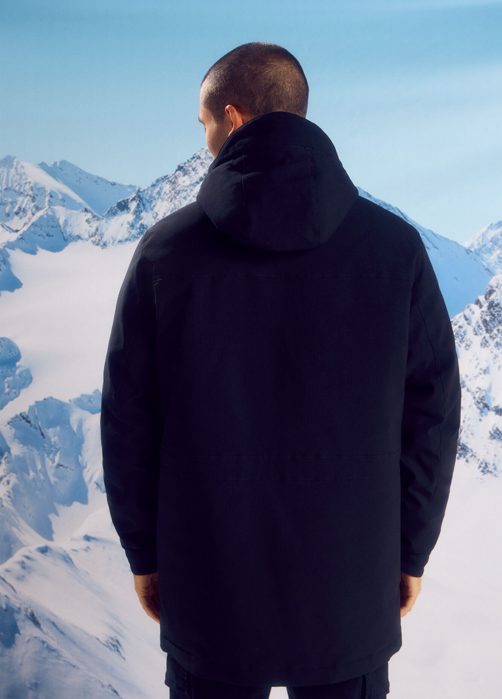 Парка Springfield (315624460)