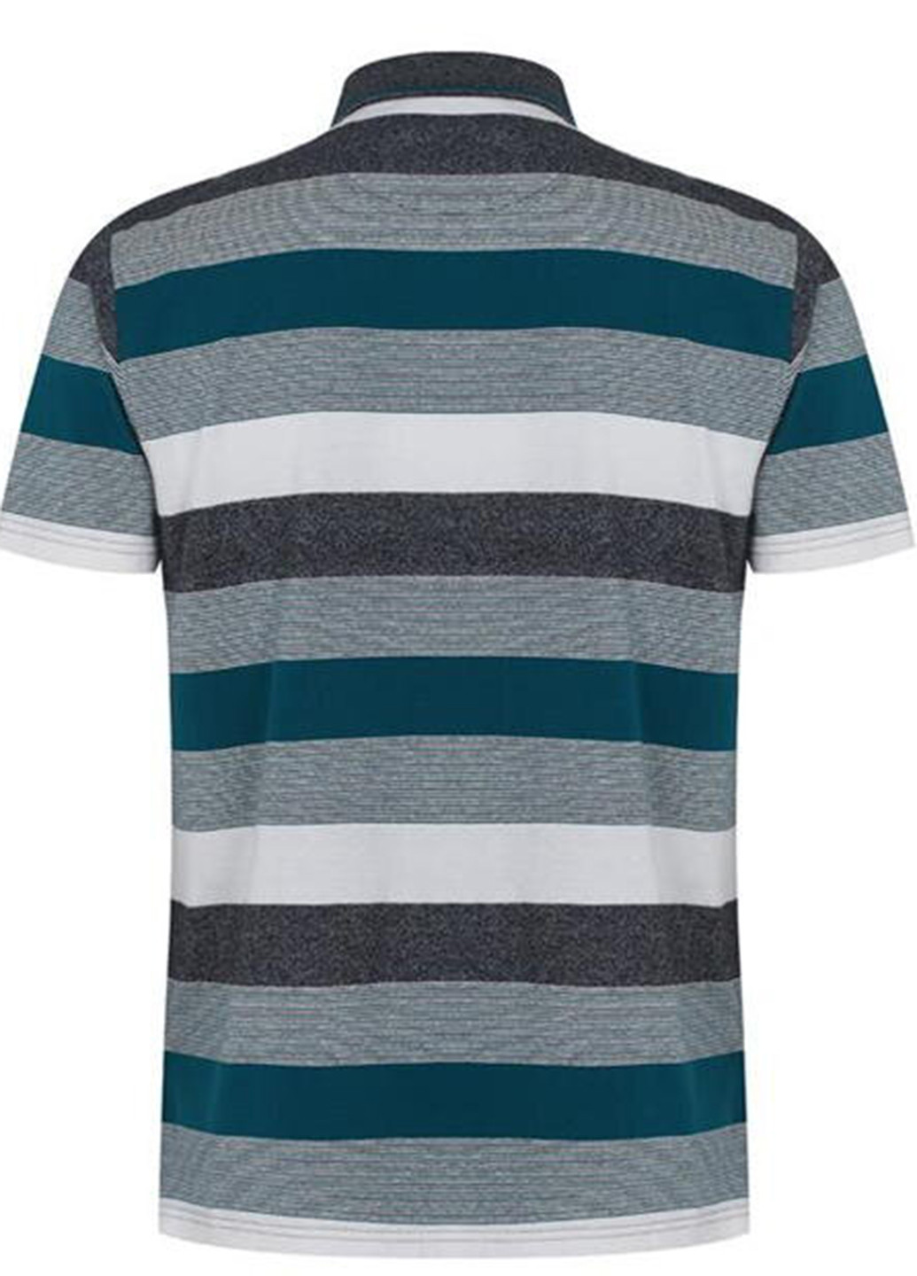 Цветная футболка-поло для мужчин Pierre Cardin в полоску