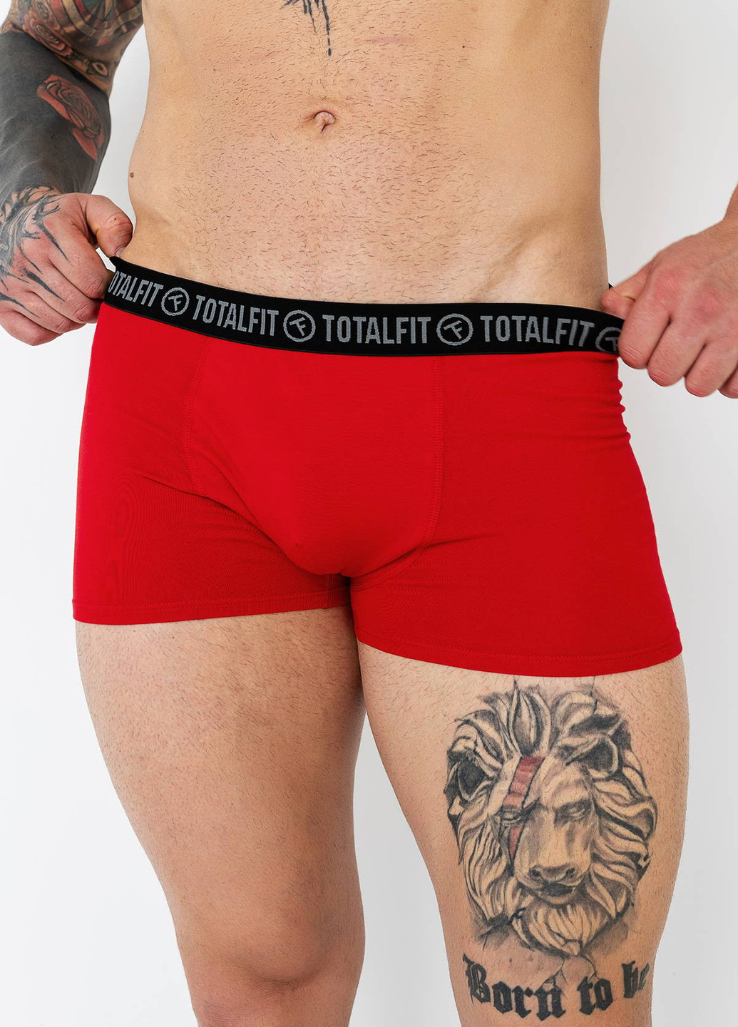 Труси (5 шт.) TOTALFIT (341676040)