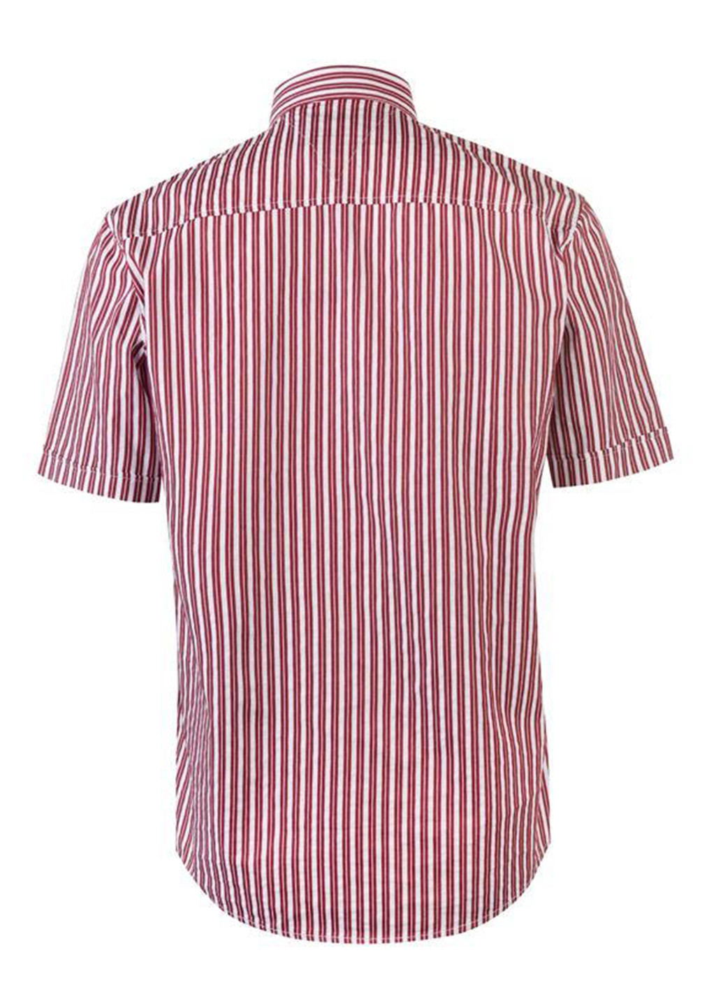Рубашка Pierre Cardin (116067572)