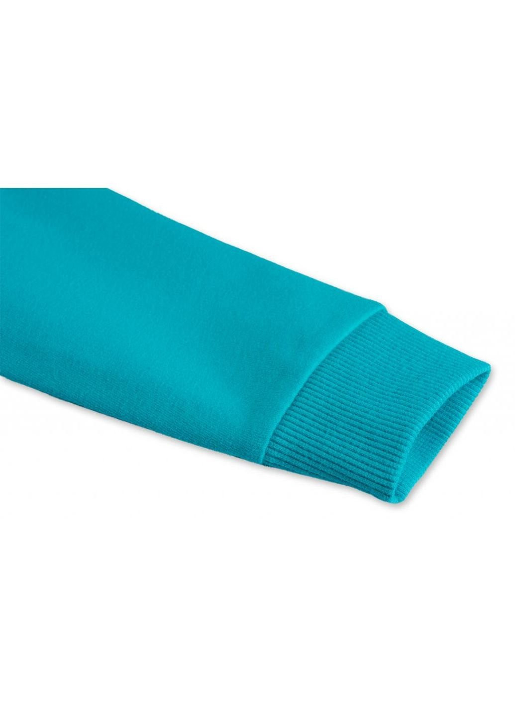 Бирюзовый демисезонный спортивный костюм бирюзовый с собачкой (7879-92b-blue) Breeze