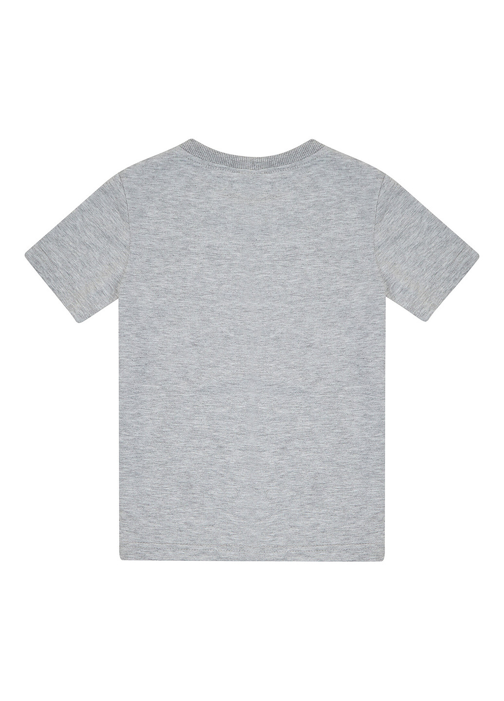 Серая летняя футболка Garnamama