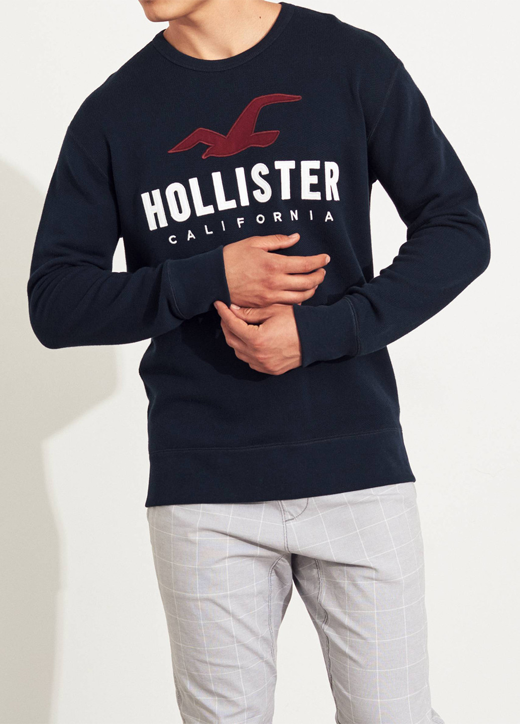 Свитшот Hollister - Прямой крой логотип темно-синий кэжуал хлопок - (173791441)