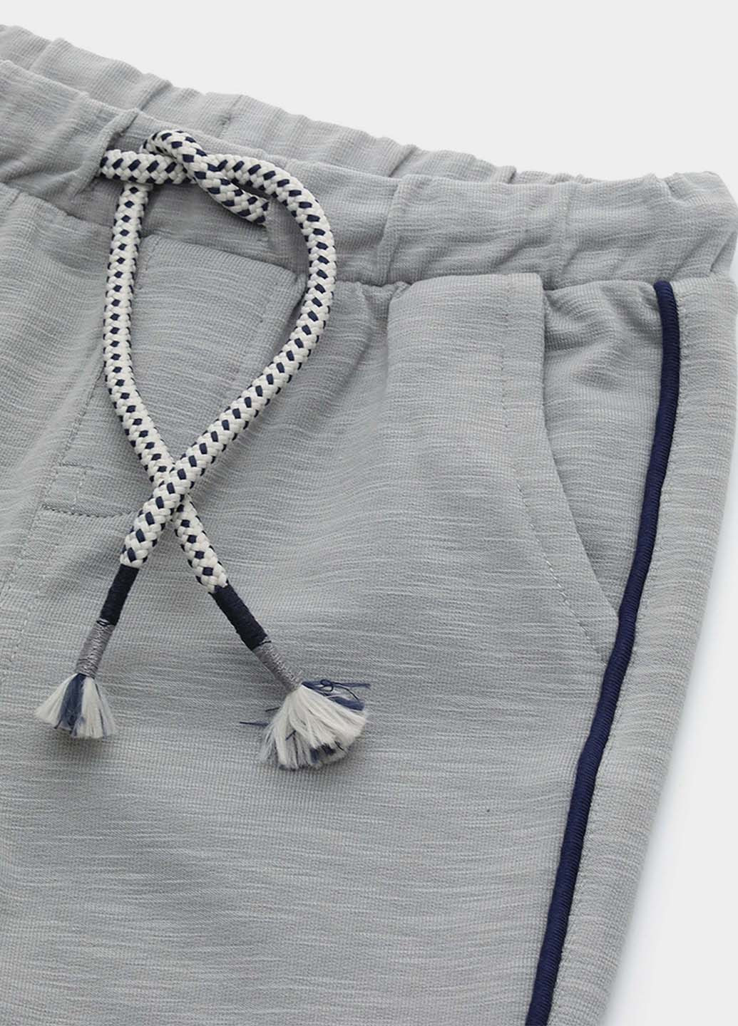 Серые спортивные демисезонные брюки джоггеры Original Marines