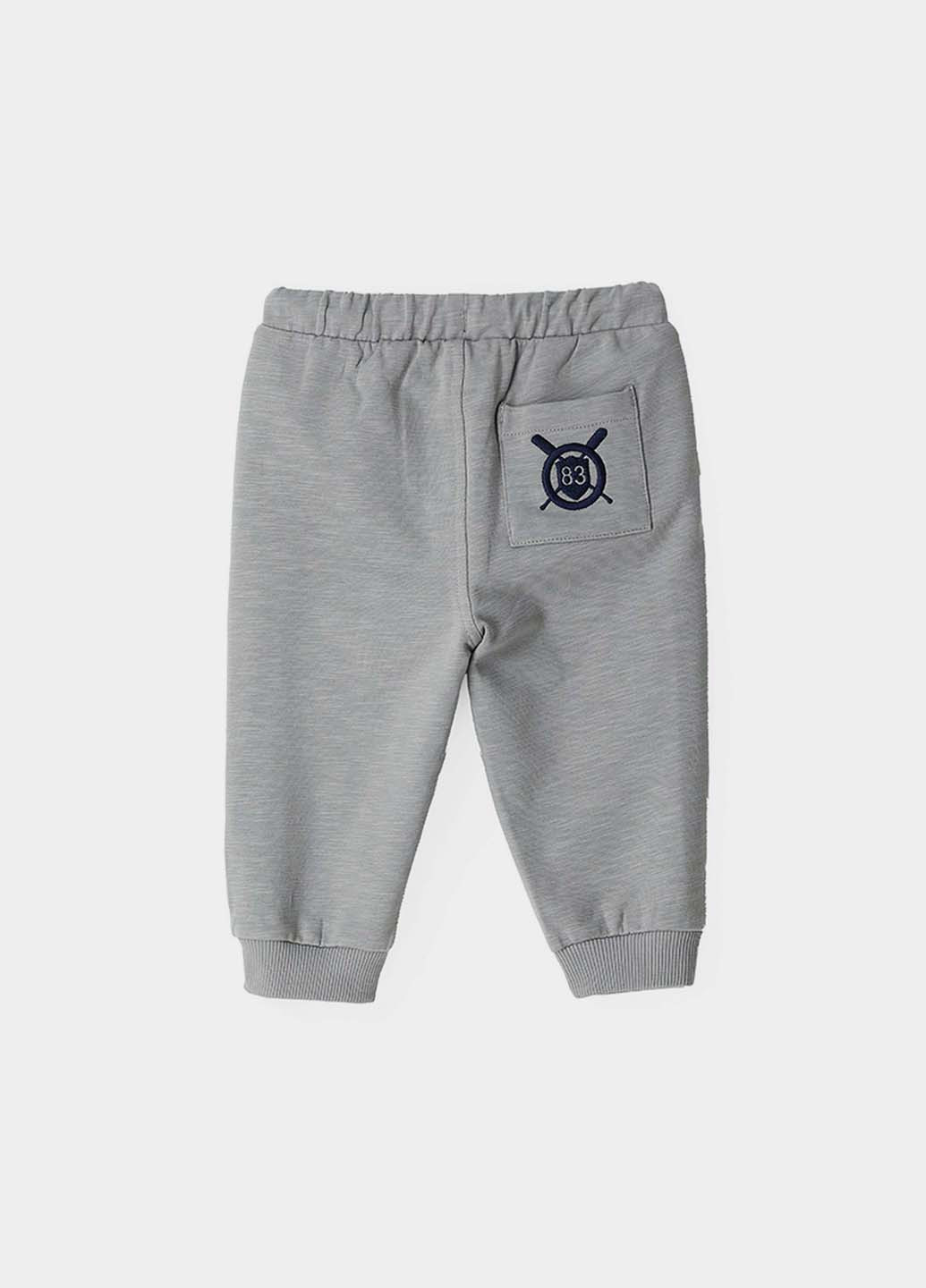 Серые спортивные демисезонные брюки джоггеры Original Marines