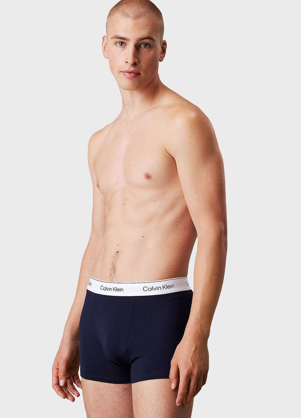 Трусы (3 шт.) Calvin Klein (366292842)