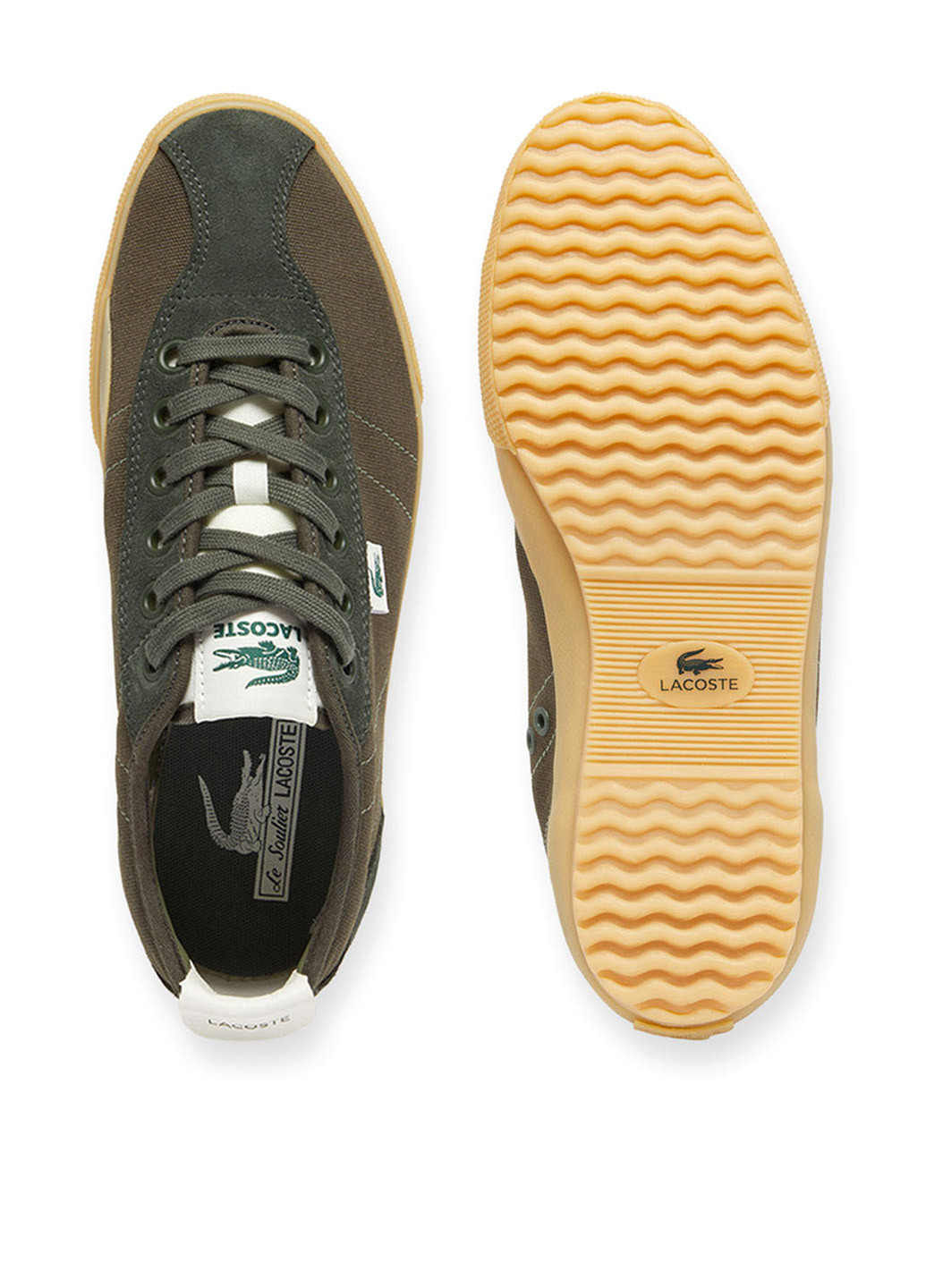 Коричневые демисезонные кроссовки Lacoste Backslam