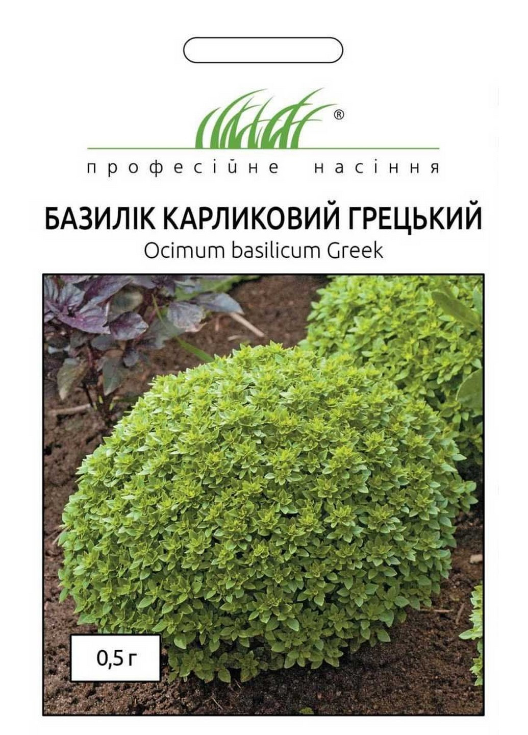 Семена Базилик карликовый Греческий 0,5 г Професійне насіння (215963628)