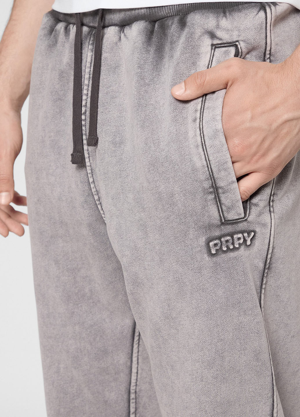 Серые спортивные демисезонные джоггеры брюки PRPY