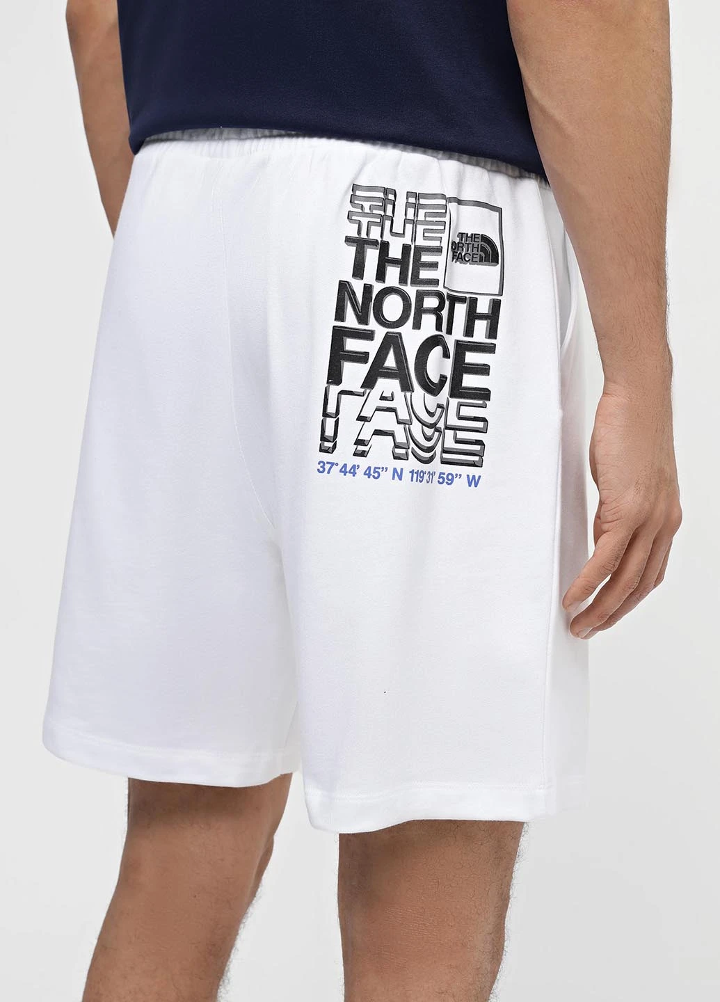 Шорты The North Face (330382813)