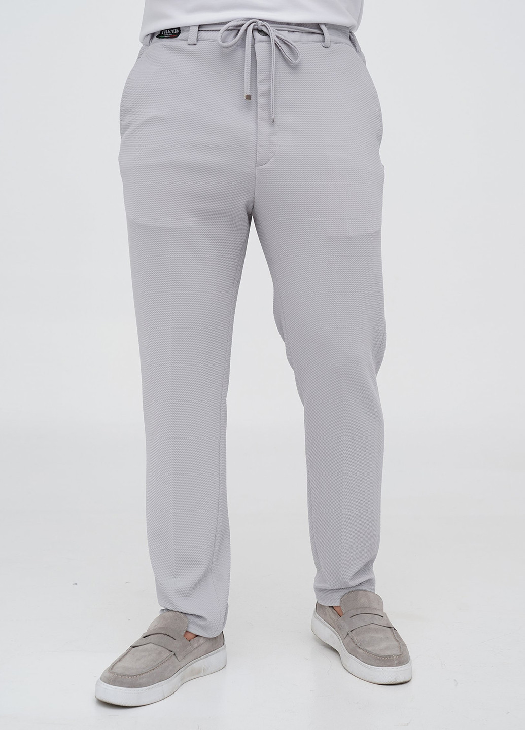 Світло-сірий демісезонний костюм (піджак, штани) брючний Trend Collection