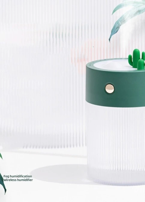 Аккумуляторный увлажнитель воздуха Cactus Oasis, 650мл, 2000мАч зелёный No Brand (252821818)