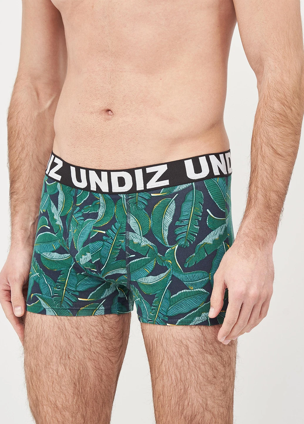 Трусы Undiz (220745763)