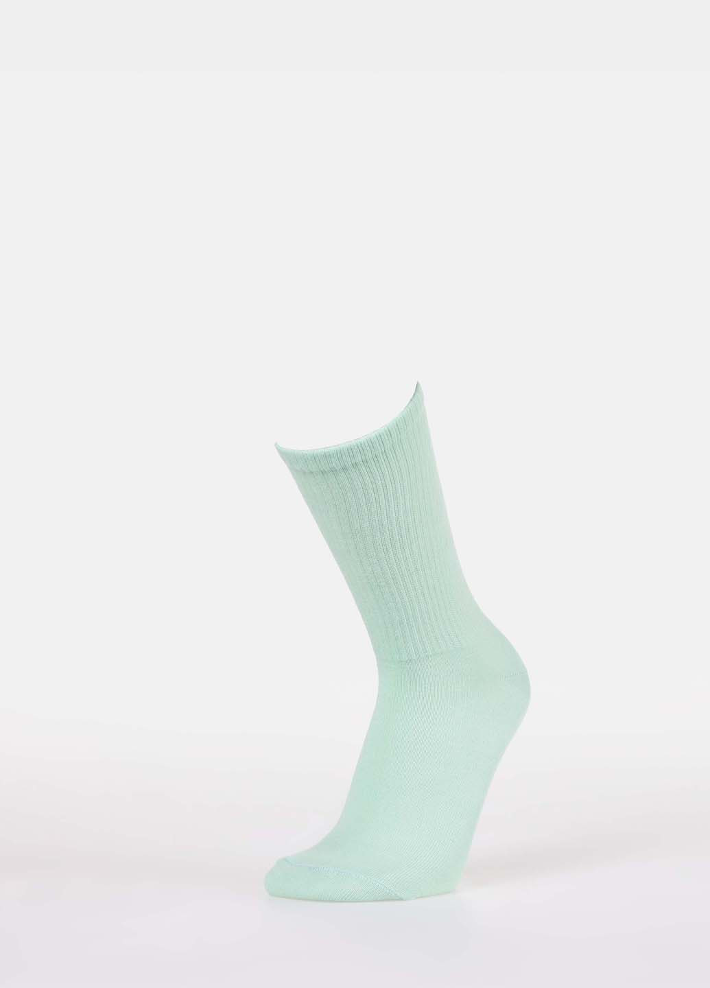 Светло-зелёные носки Colin's однотонные (335971591)