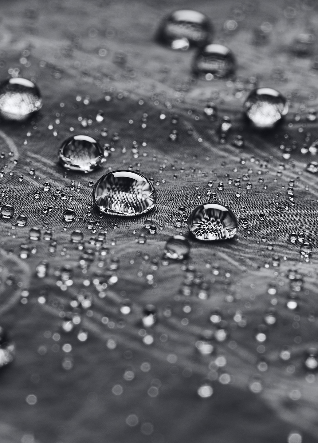 Куртка Under Armour (327382884}