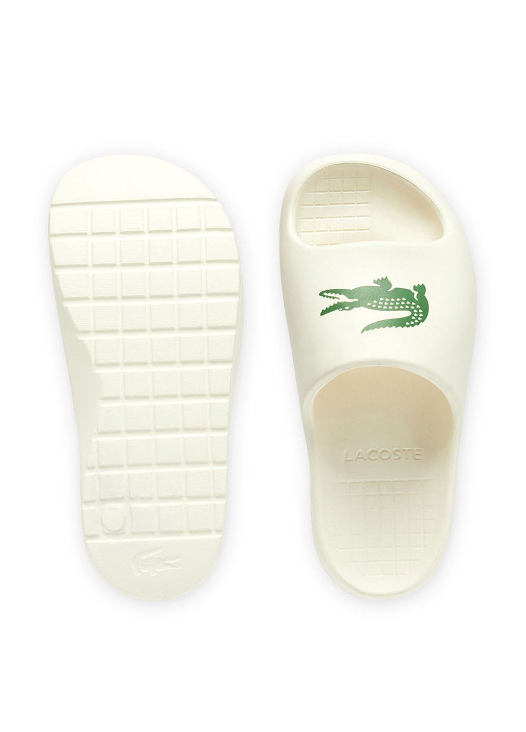 Шльопанці Lacoste (363619784)