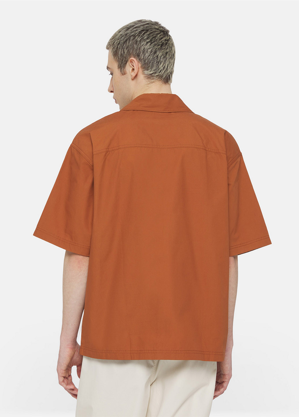 Сорочка Dickies (363353952)