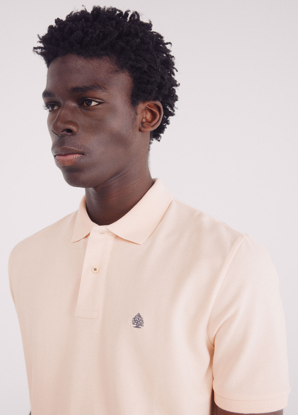 Поло Springfield (342326048)