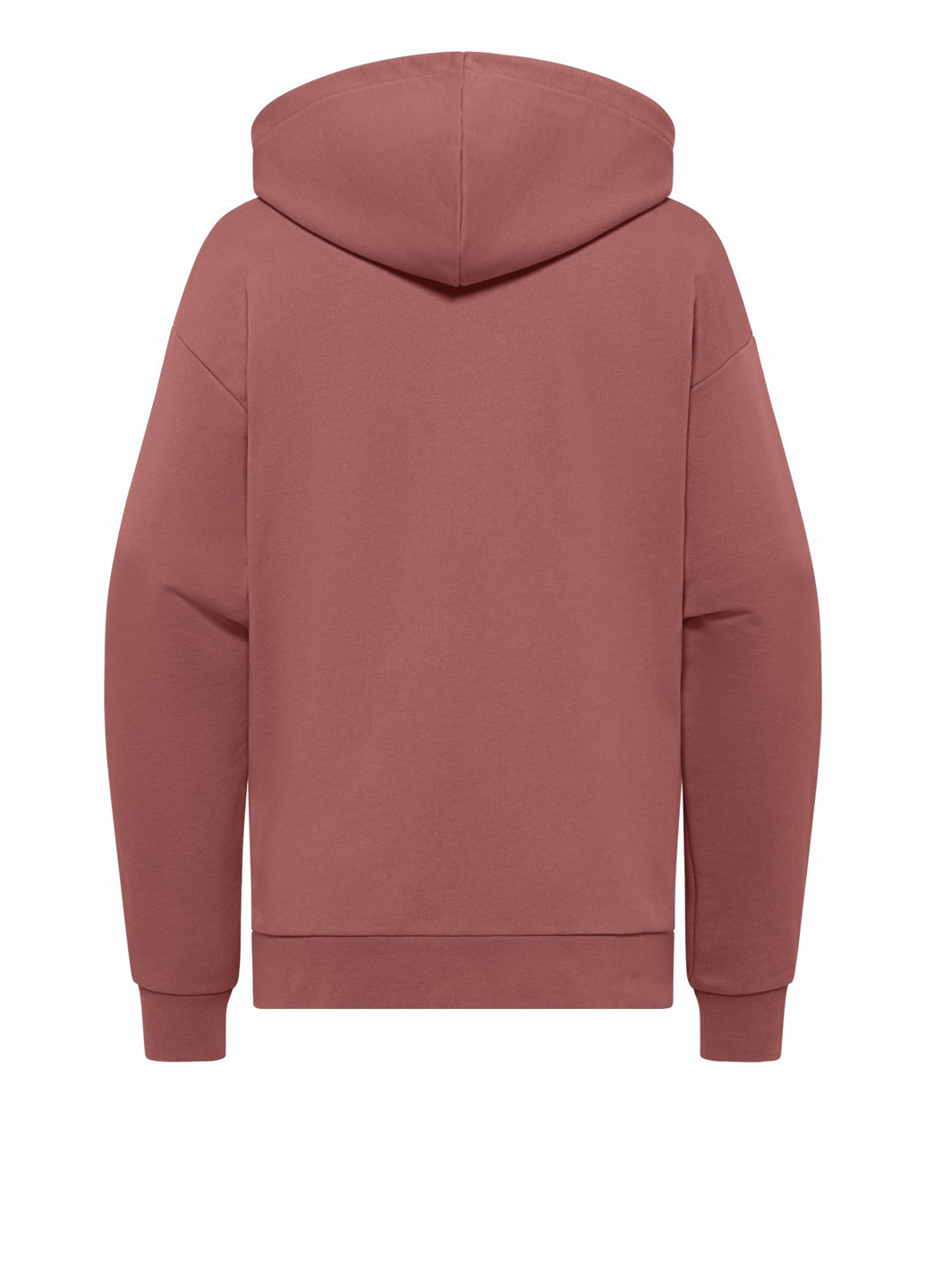 Худі Jack Wolfskin ESSENTIAL HOODIE W (328829634)