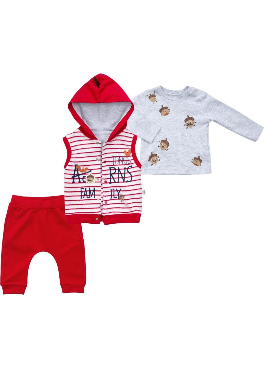 Светло-серый демисезонный набор детской одежды с жилетом (2824-86b-red) Tongs