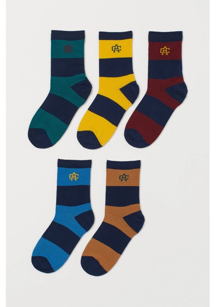 Комбинированные носки (5 пар) H&M всесезон (226347730)