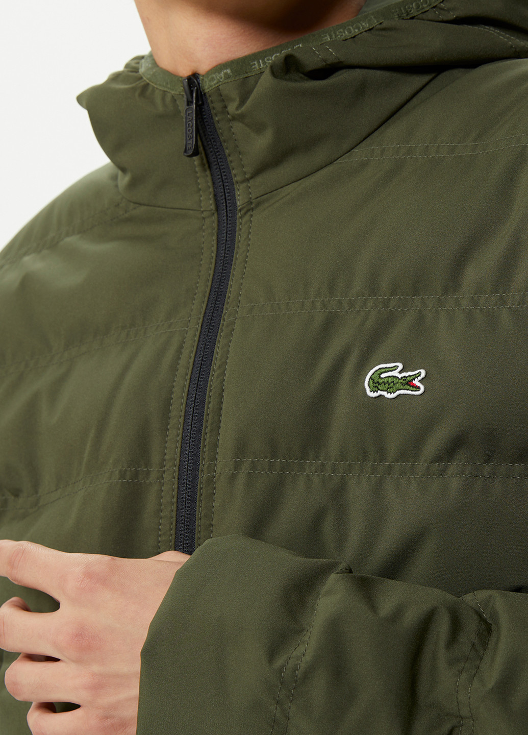 Оливковая (хаки) демисезонная куртка Lacoste