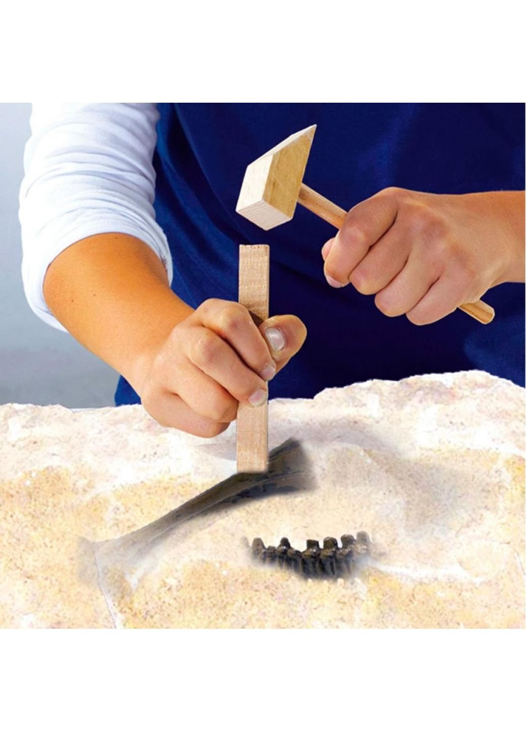 Набор для экспериментов Исследователь Раскопки скелета Тираннозавра Ses (252418393)