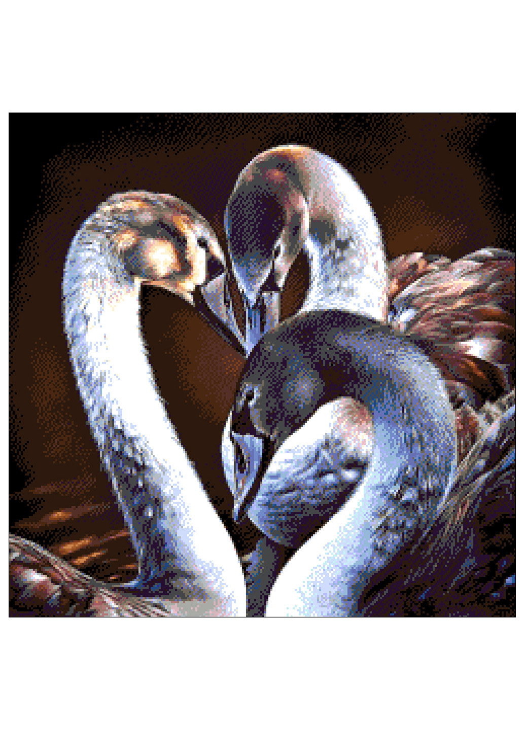 Набір для вишивання бісером Черные лебеди 46х46 см Александра Токарева (252253749)
