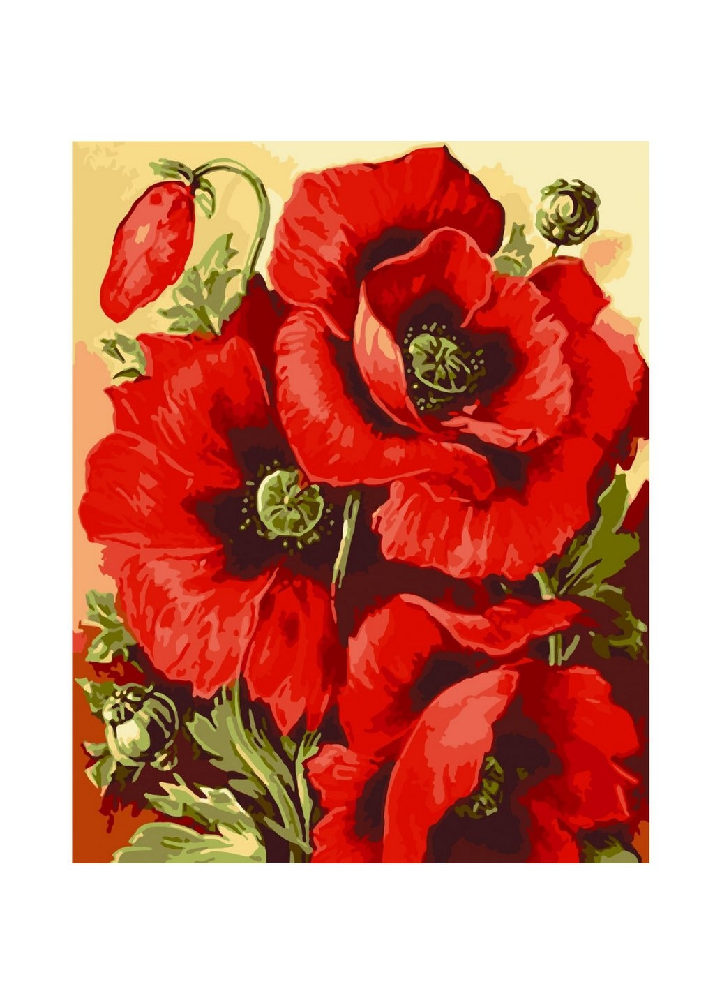 Картина за номерами "Маковий цвіт" 13129-AC 40х50 см Art Craft (253108673)