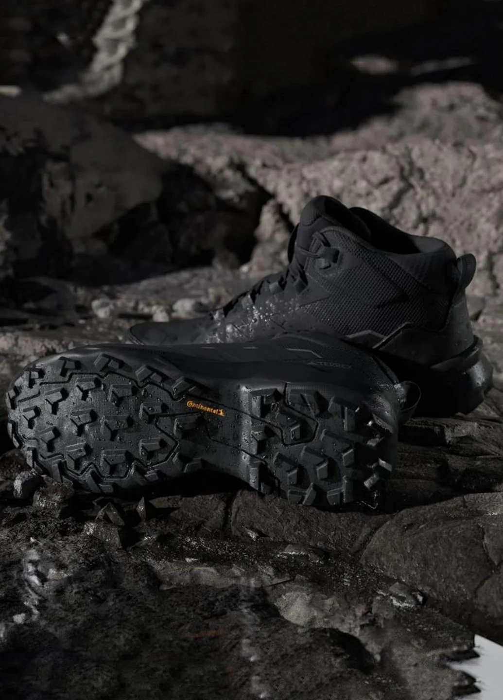 Черевики JQ2207 adidas Terrex Skychaser AX5 Mid GTX (367205559)