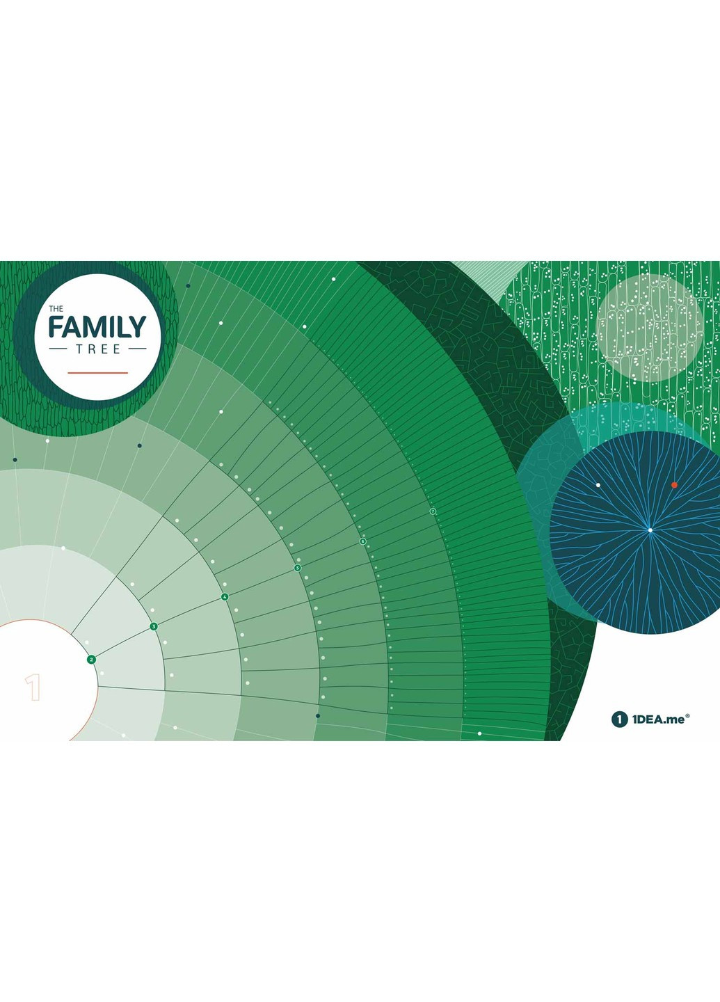 Інтерактивний постер "Family Tree" (рама) 1DEA.me (254288787)