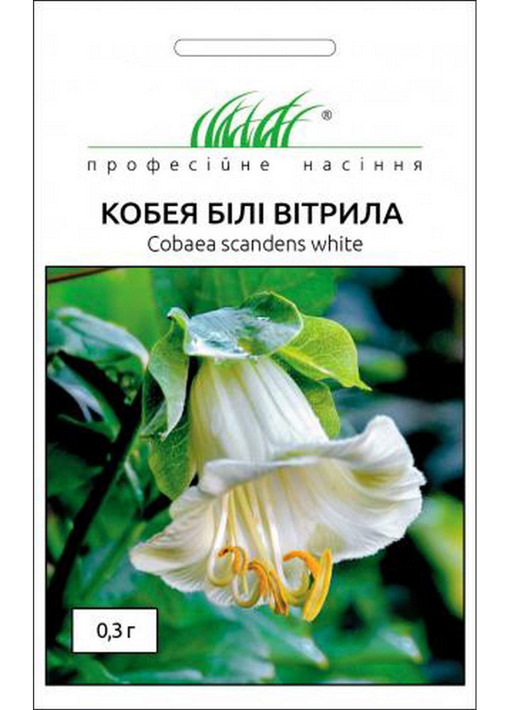 Семена Кобея Белые Паруса 0,3 г Професійне насіння (216036185)