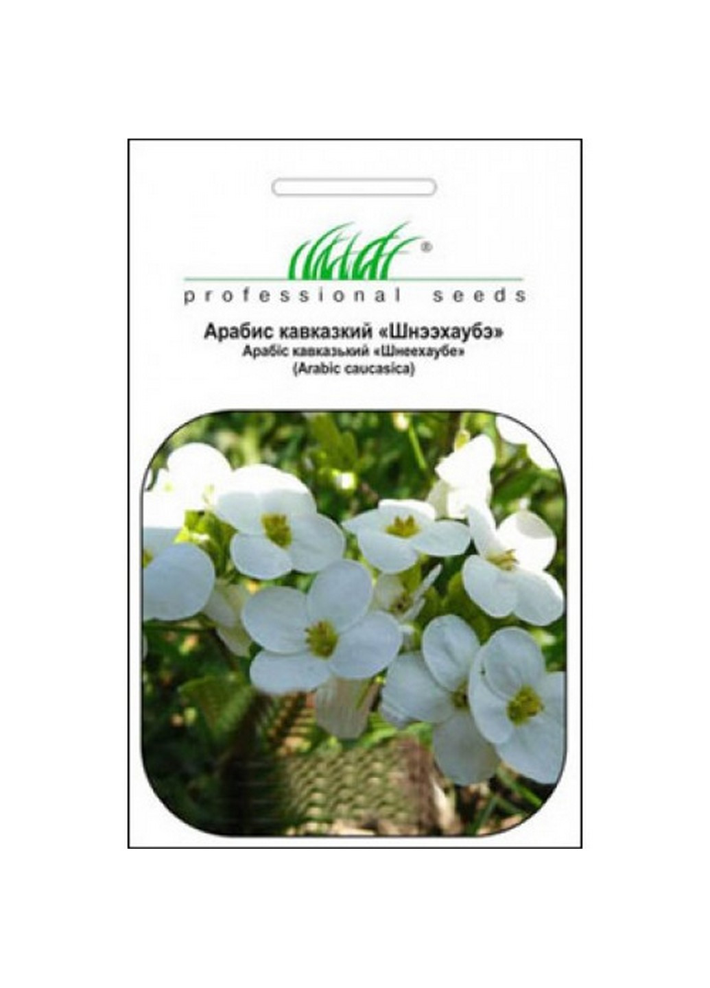 Семена Арабис Кавказский белый 0,1 г Професійне насіння (227201467)