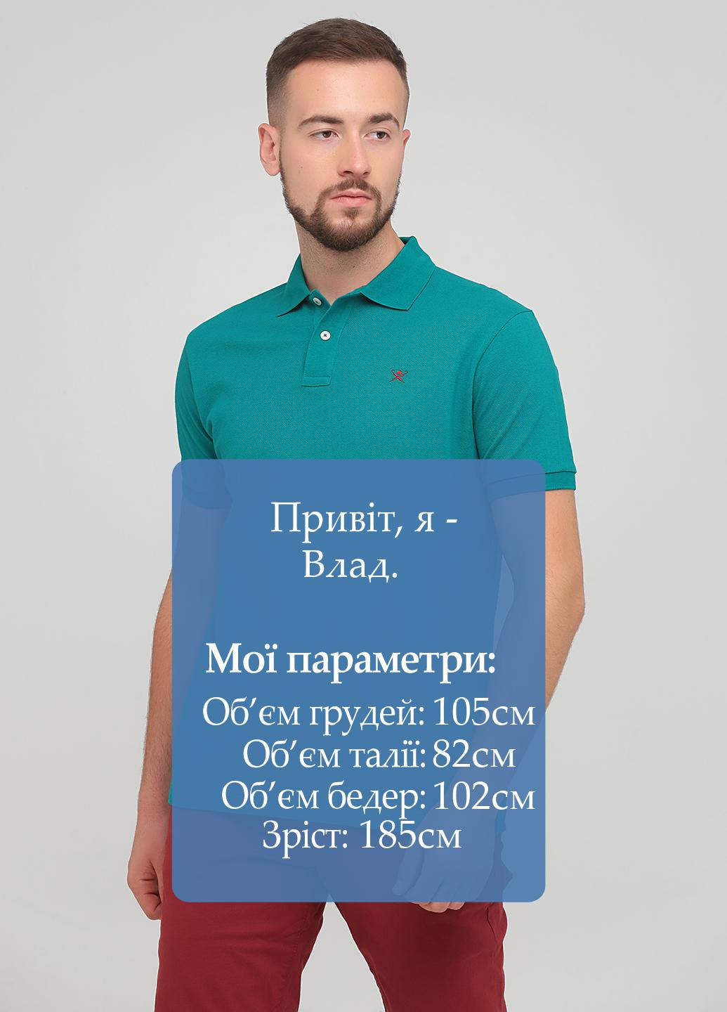 Поло Hackett (253382360)