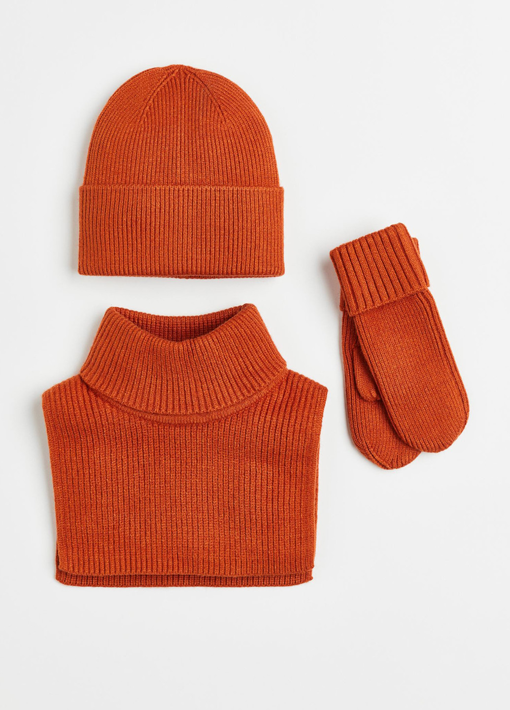 Комплект (шапка+шарф+рукавиці) H&M (268221424)