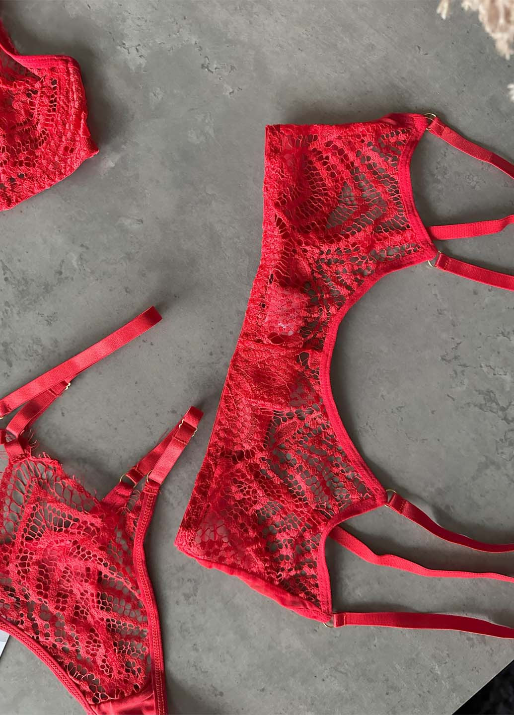 Червоний демісезонний комплект (бюстгальтер, трусики, пояс, гартери) NOVA VEGA
