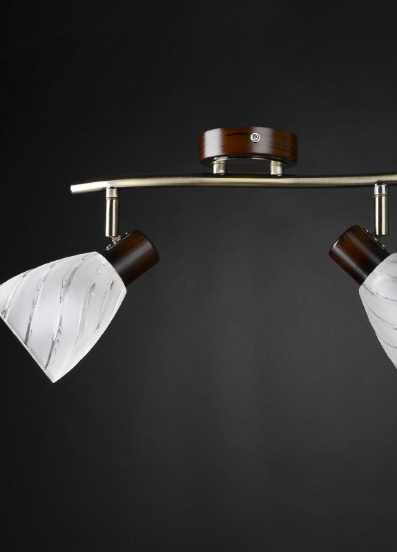 Светильник настенно-потолочный спот поворотный накладной классический HTL-160/2 E14 Brille (253893283)