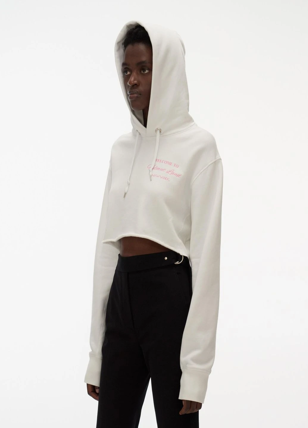 Реглан Helmut Lang (230062774)