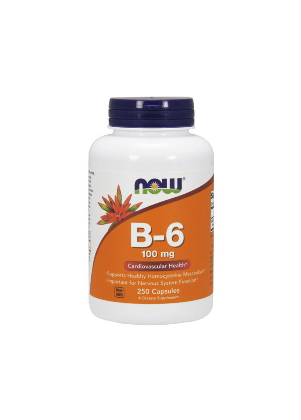 Витамин Б6 B-6 100 mg (250 капс) пиридоксин нау фудс Now Foods (255408844)