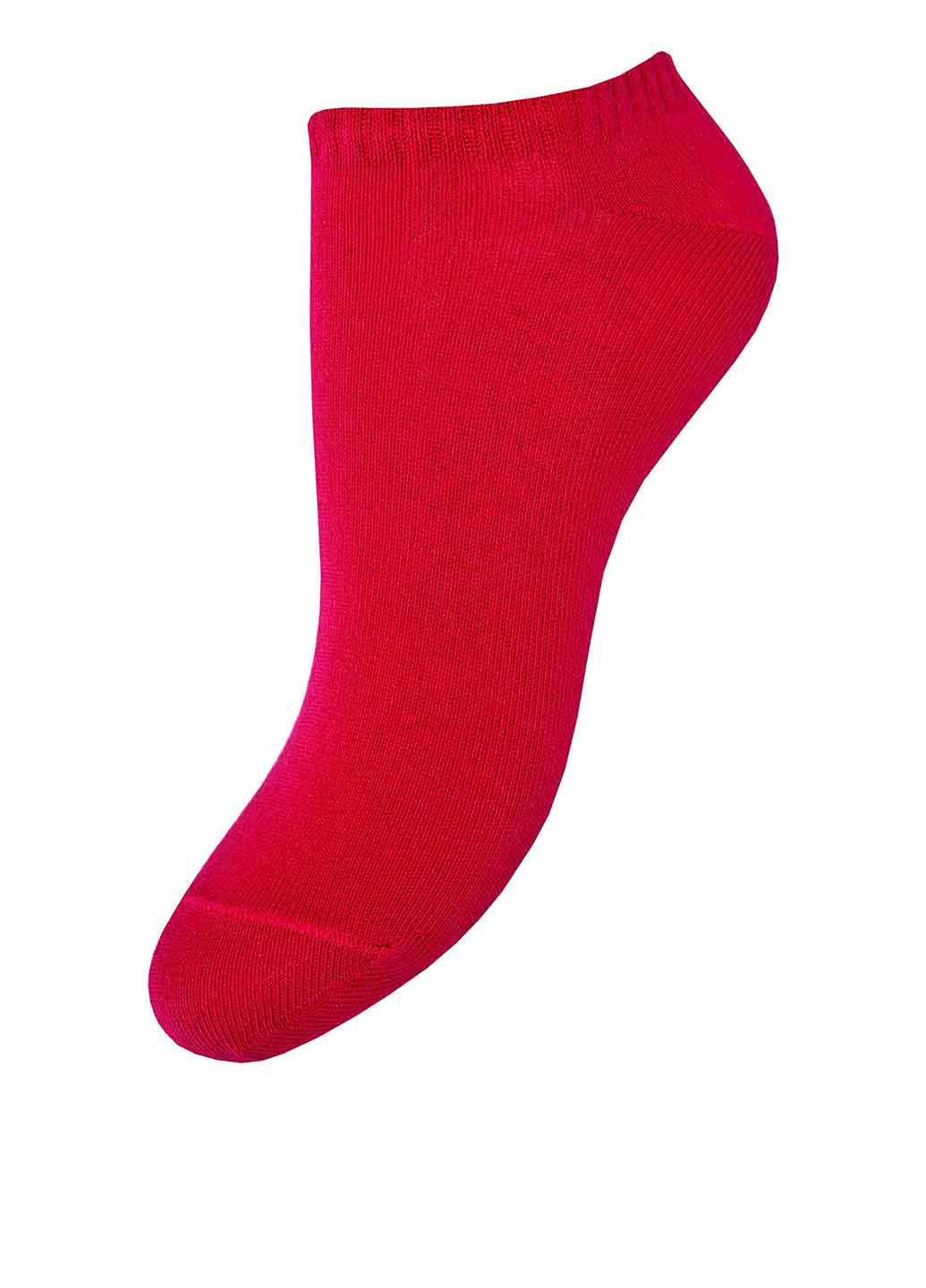 Шкарпетки Легка Хода (15598400)